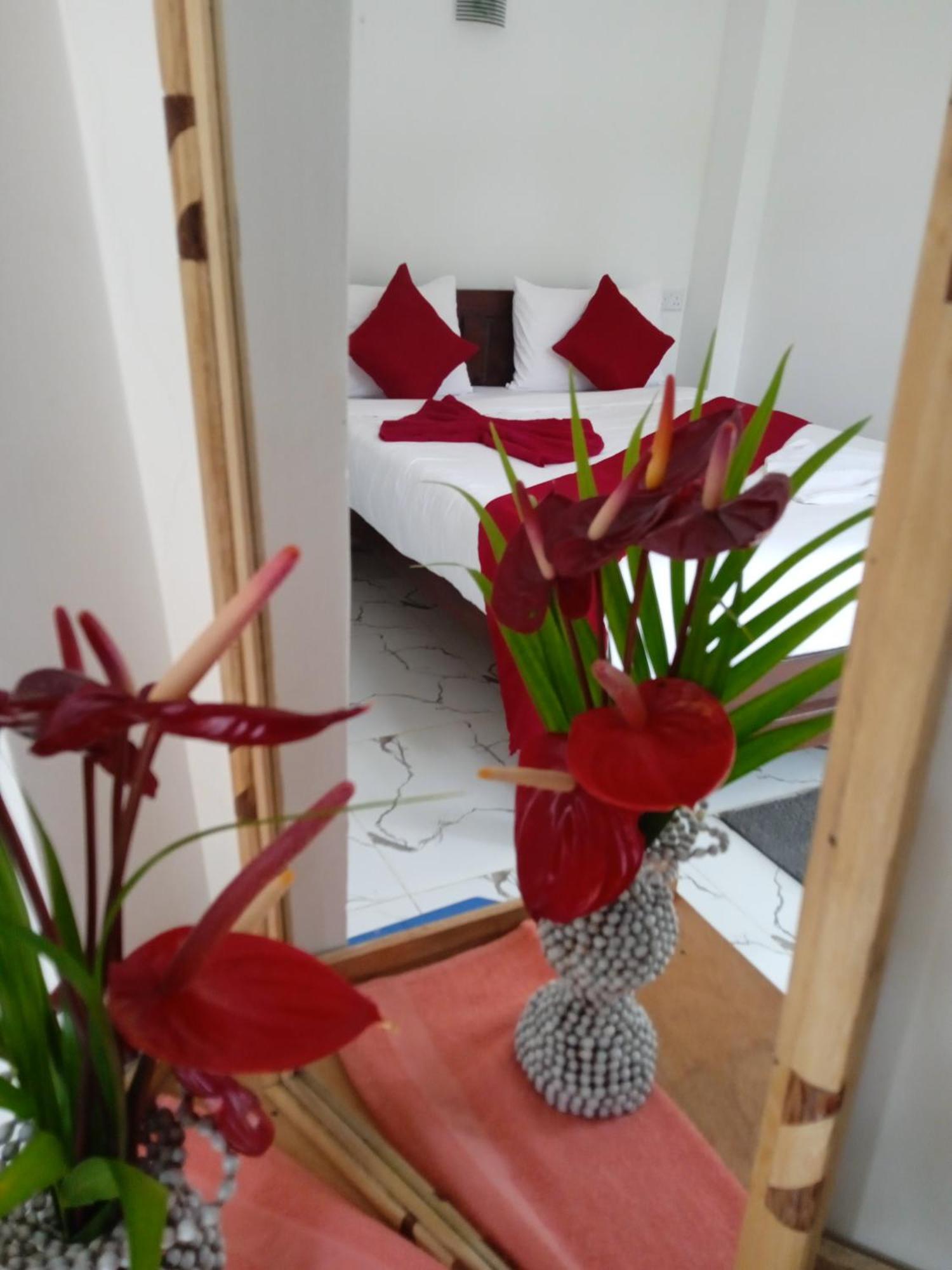Nine Arch Corner Apartment Ella Bagian luar foto